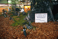 2003diorama2
